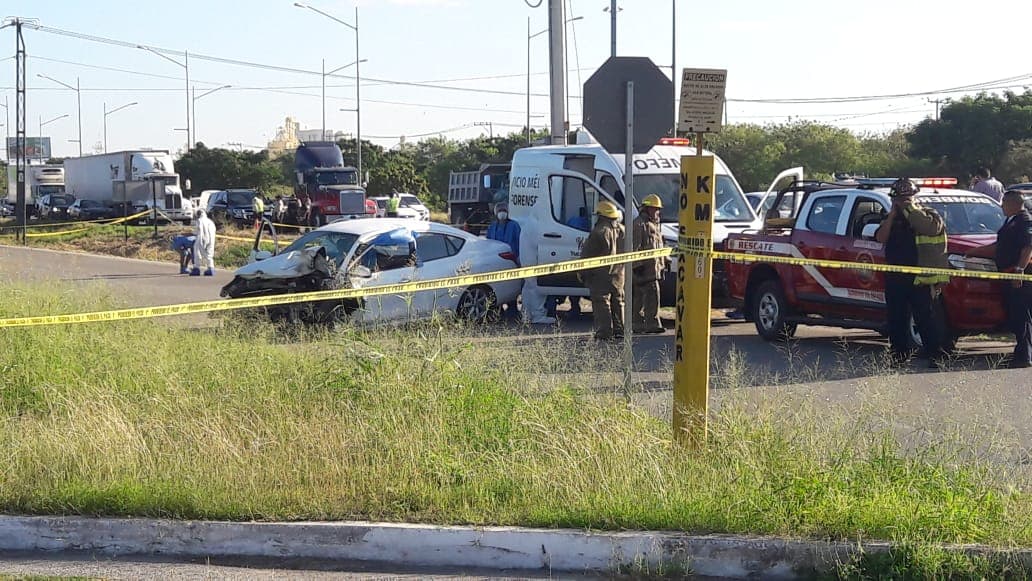 46130930 563932670733470 5905431155548618752 n