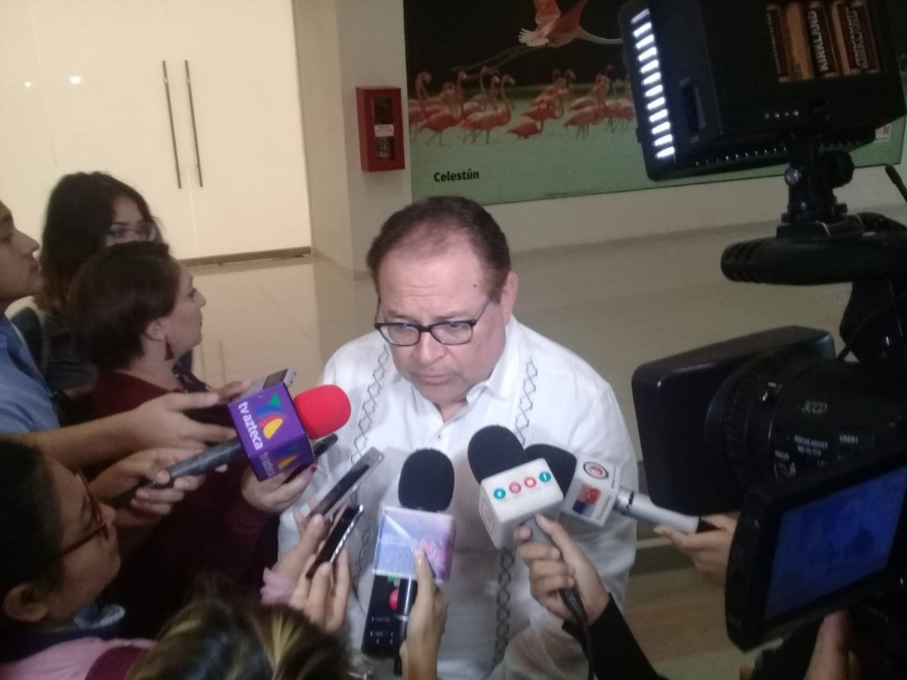 46891808 608945382895483 7899448556841336832 n