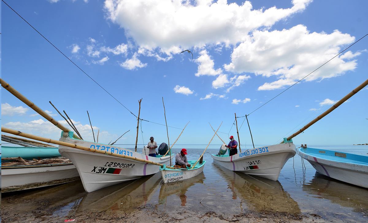 46780462 473953446463828 2679076573474193408 n