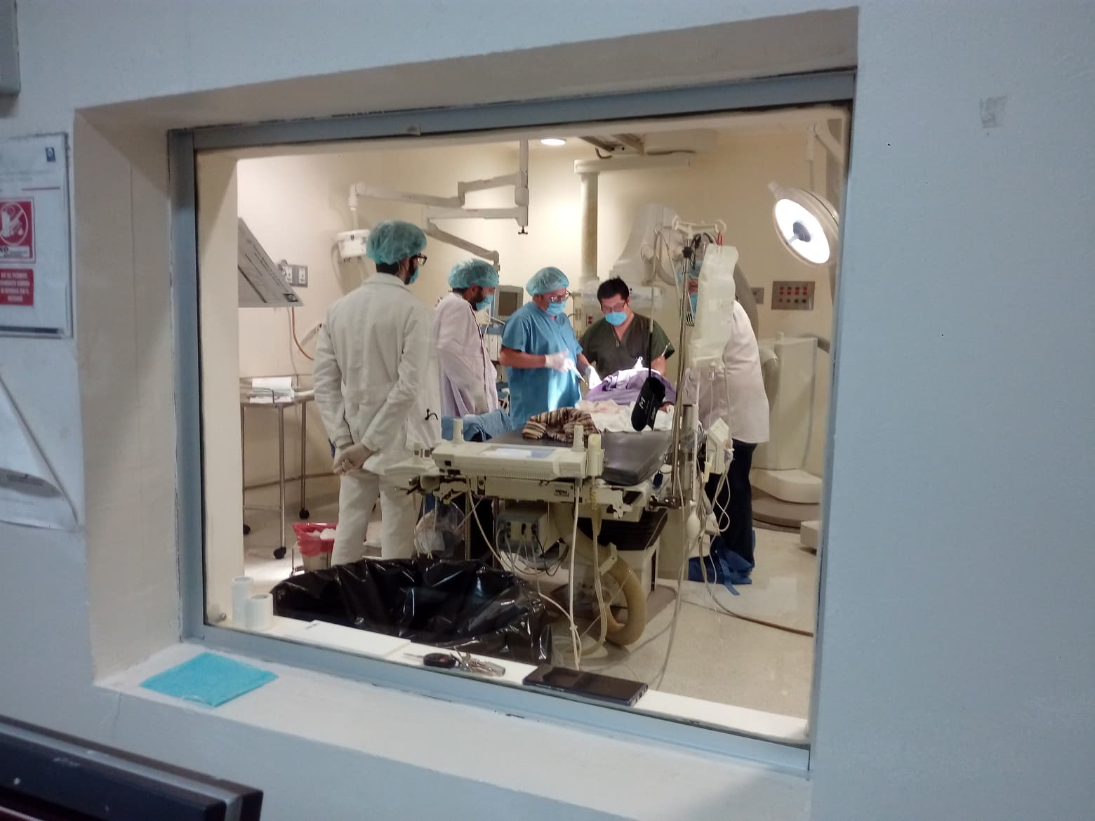 47211417 201505720769095 6748811081482764288 n