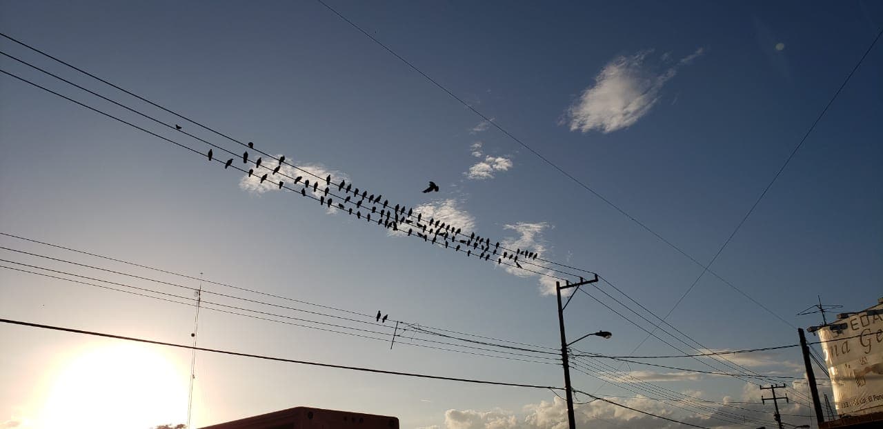 48079118 294855114569124 8890525428763066368 n