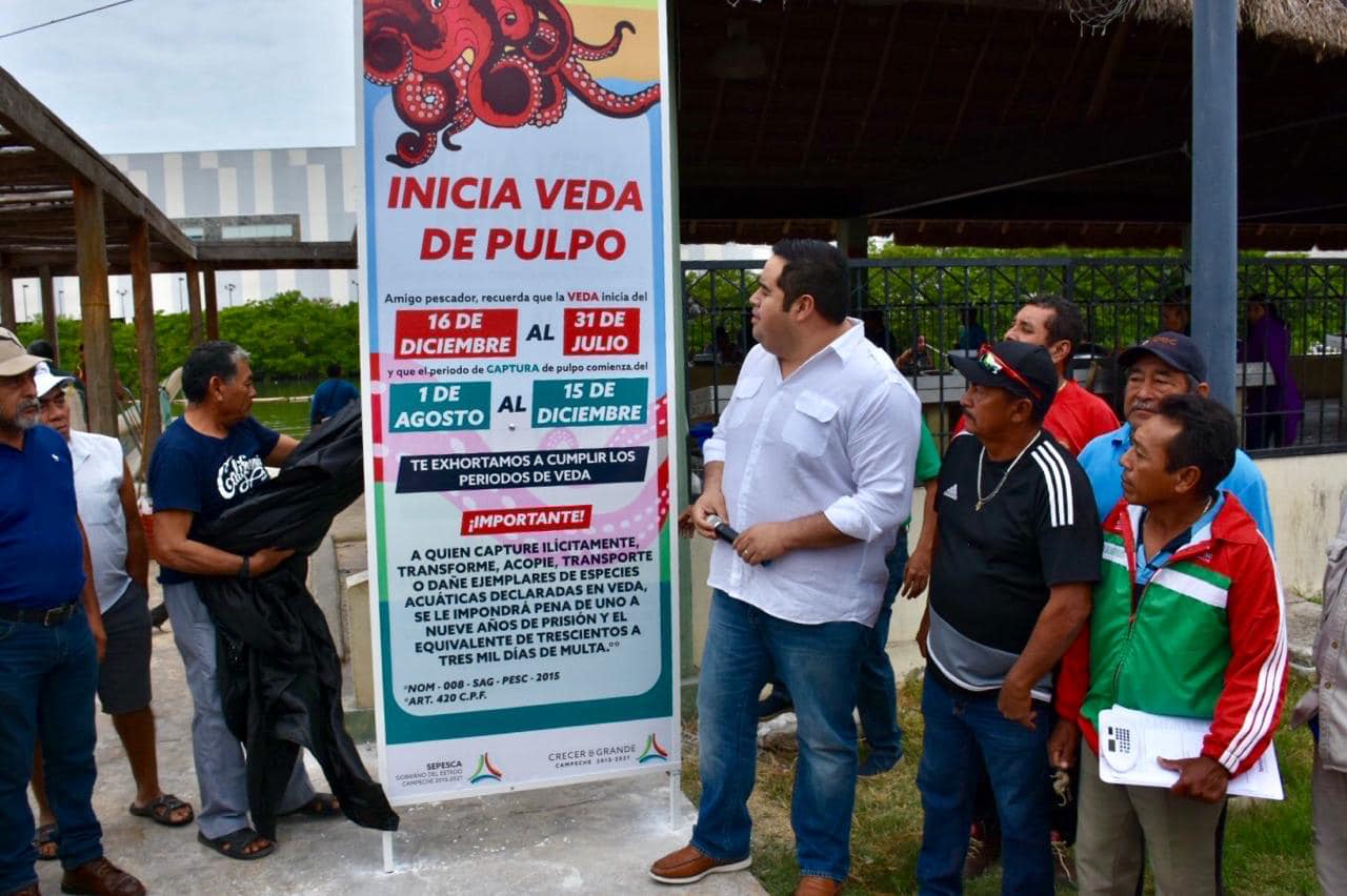 48366166 2250715428274469 1234213677763133440 o