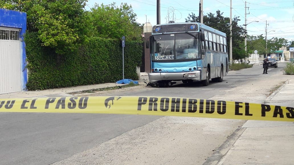 48378583 313871072558382 4206625857445298176 n