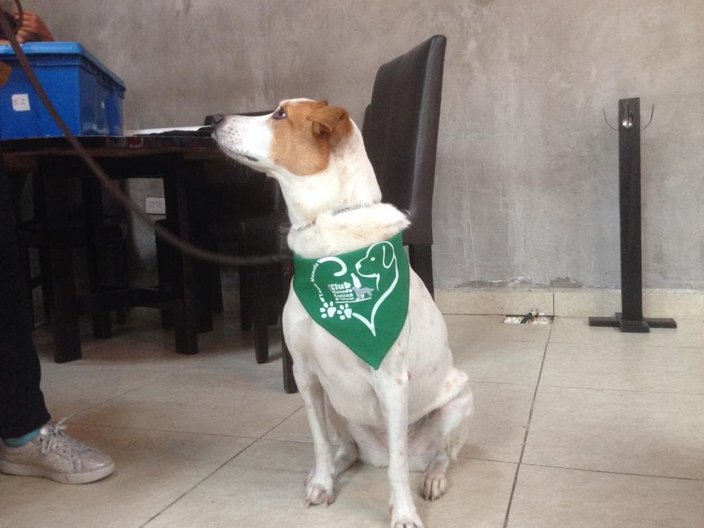 49028237 388717848533704 1536209269479702528 n