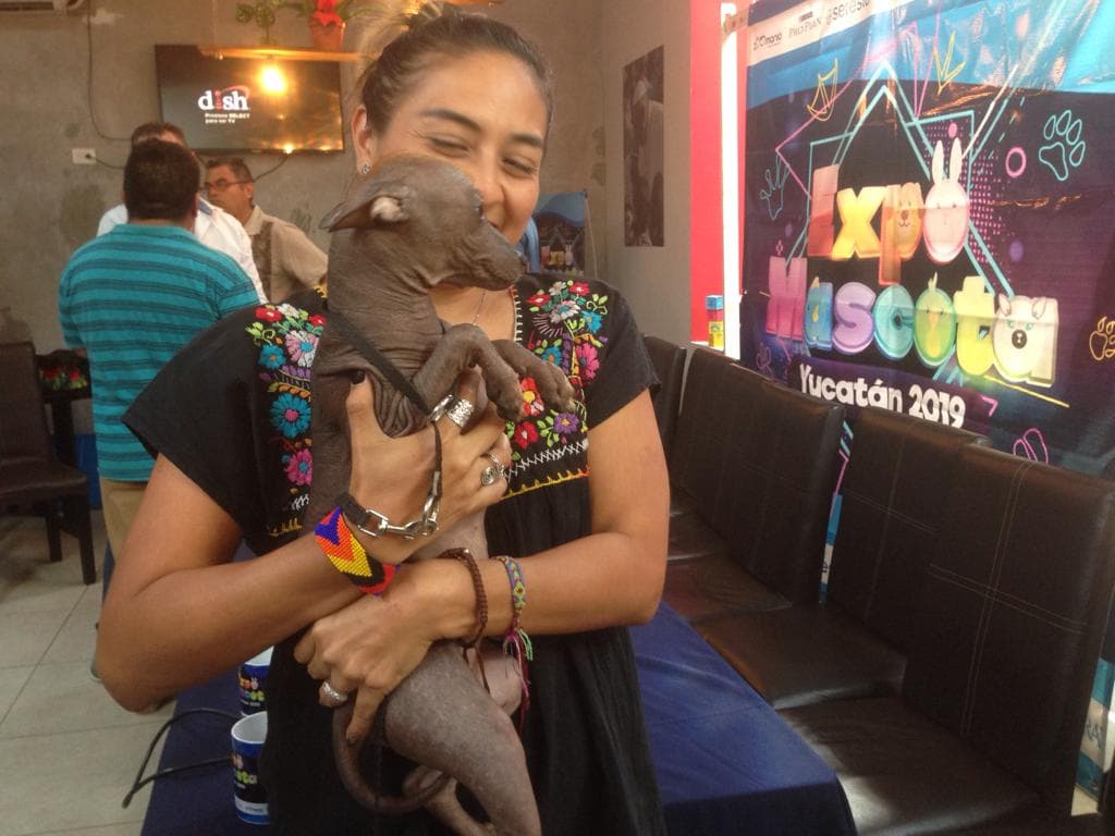 49300547 394889427915539 3258341303766745088 n