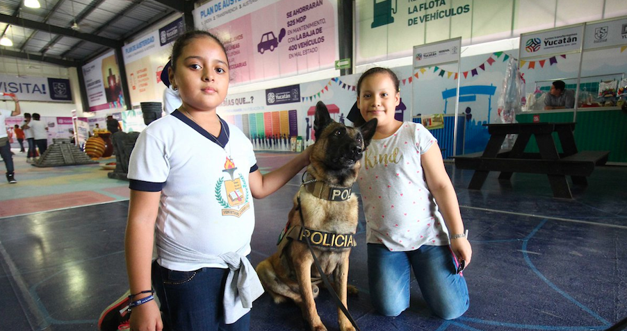 Captura de pantalla 2018 12 01 a la(s) 10.32.17