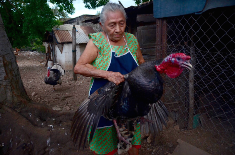 Captura de pantalla 2018 12 17 a la(s) 17.13.14