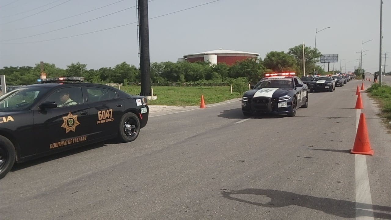 37192045 1733186220092738 8738875463595720704 n