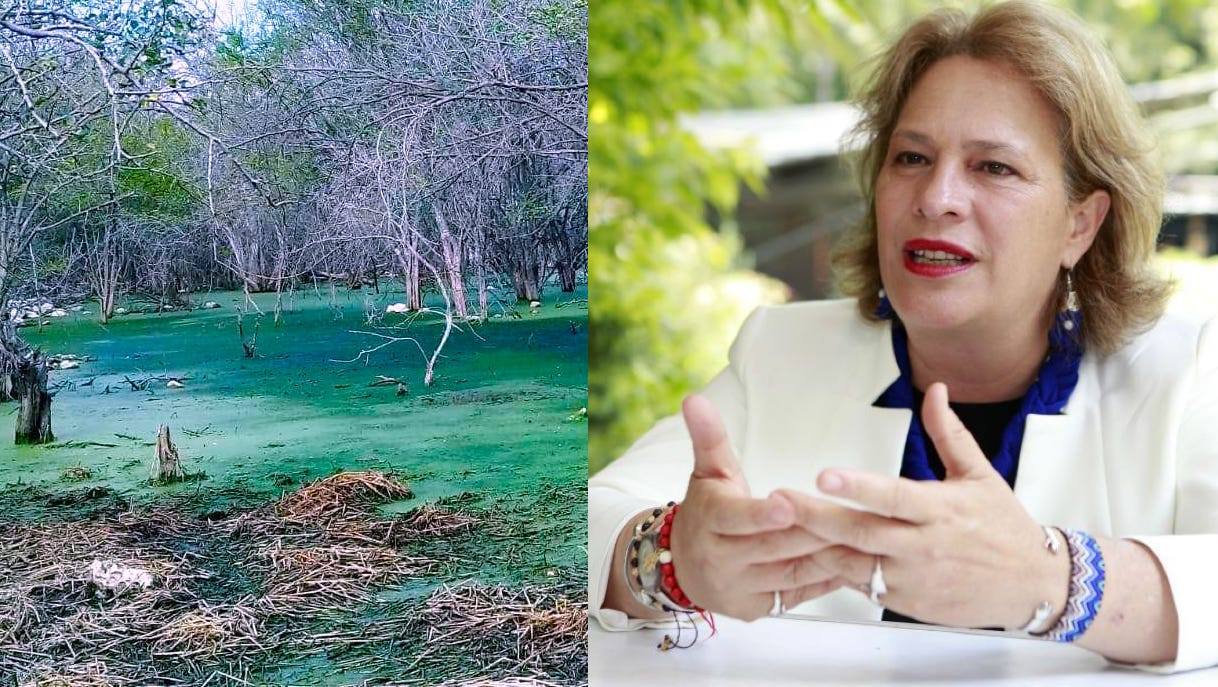 49270159 335911970580558 3971046759525777408 n