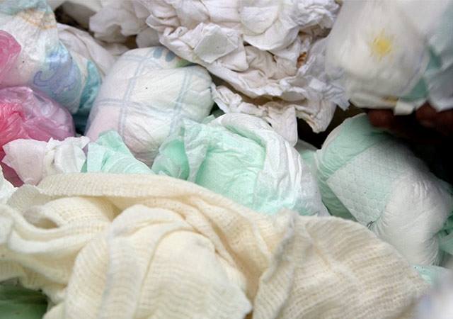 Los perros al ingerir parte de los pañales desechables se mueren a las pocas semanas