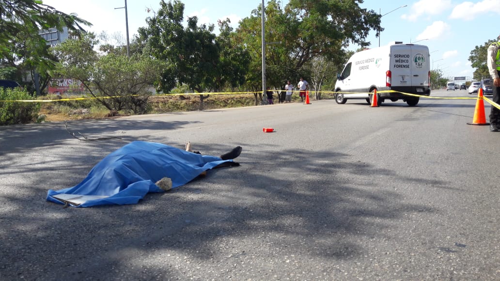 WhatsApp Image 2019 01 02 at 9.56.44 AM