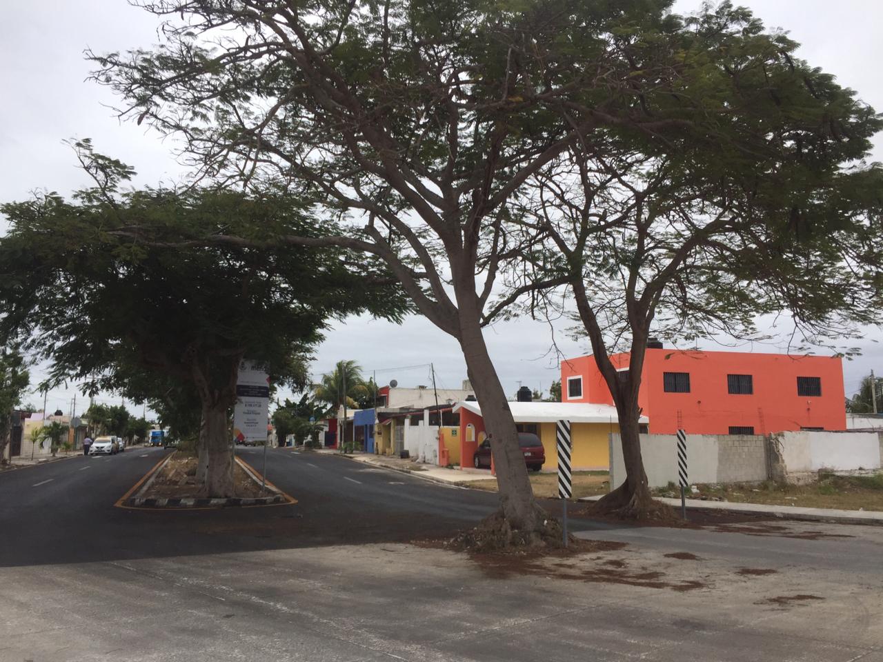 WhatsApp Image 2019 01 25 at 8.34.09 PM (1)