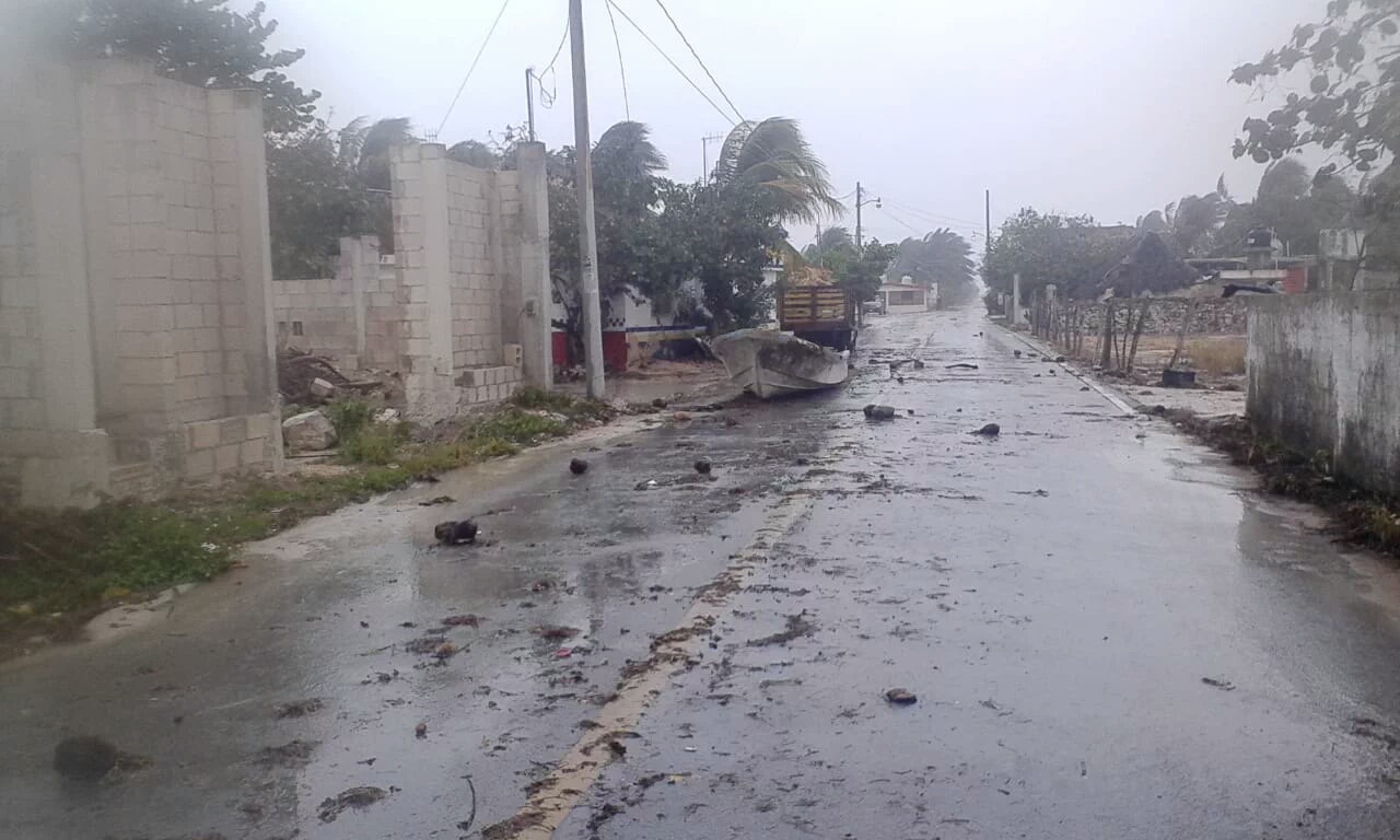 WhatsApp Image 2019 01 27 at 12.59.07 PM