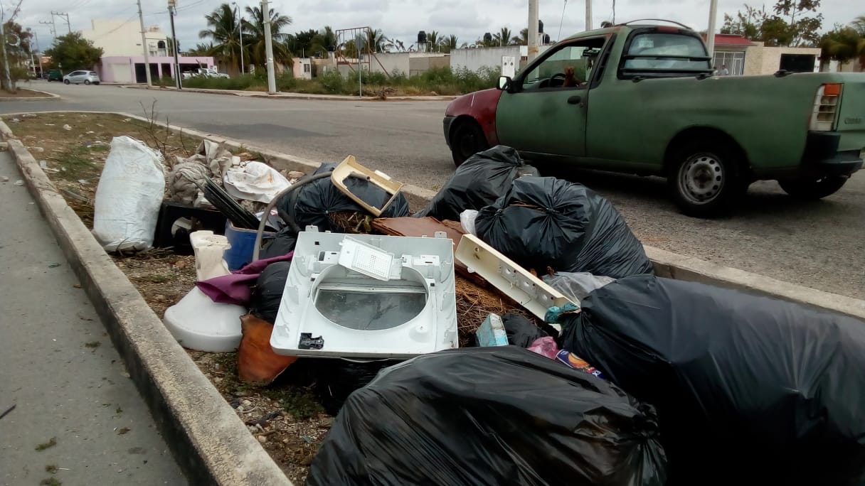 WhatsApp Image 2019 01 28 at 11.10.27 AM