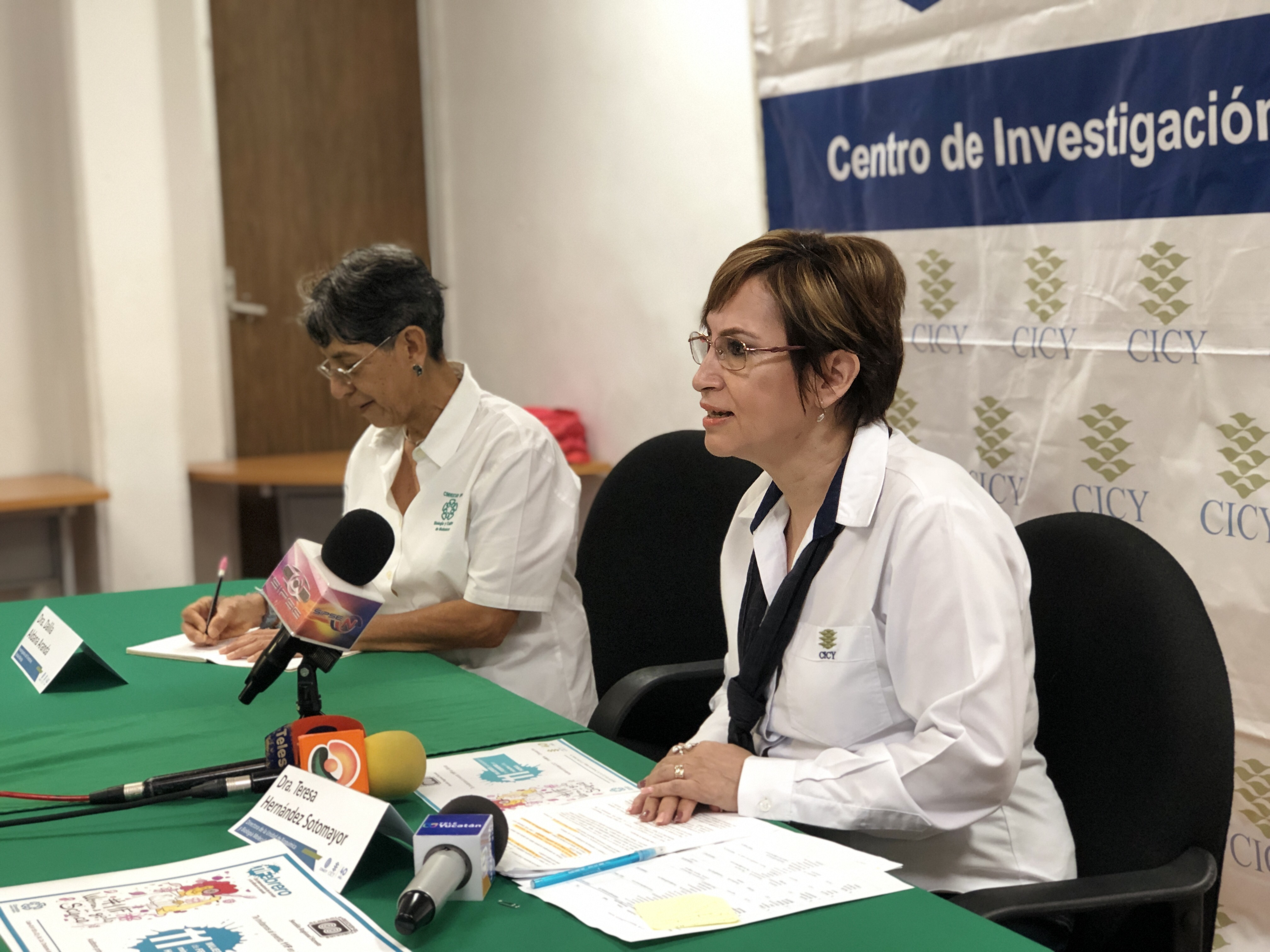 2019 02 06 Dra. Teresa Hernández CICY medios