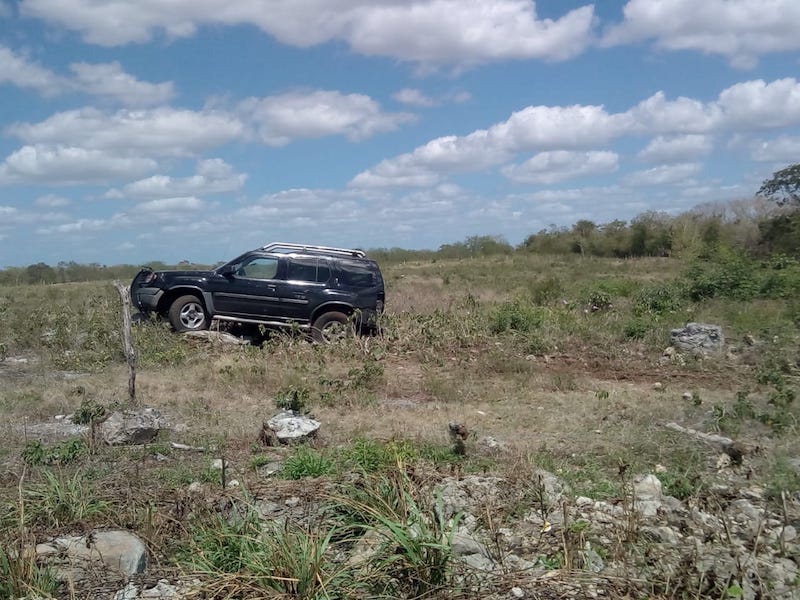 AE79FF8D F177 4446 A49A CFF459C1658F