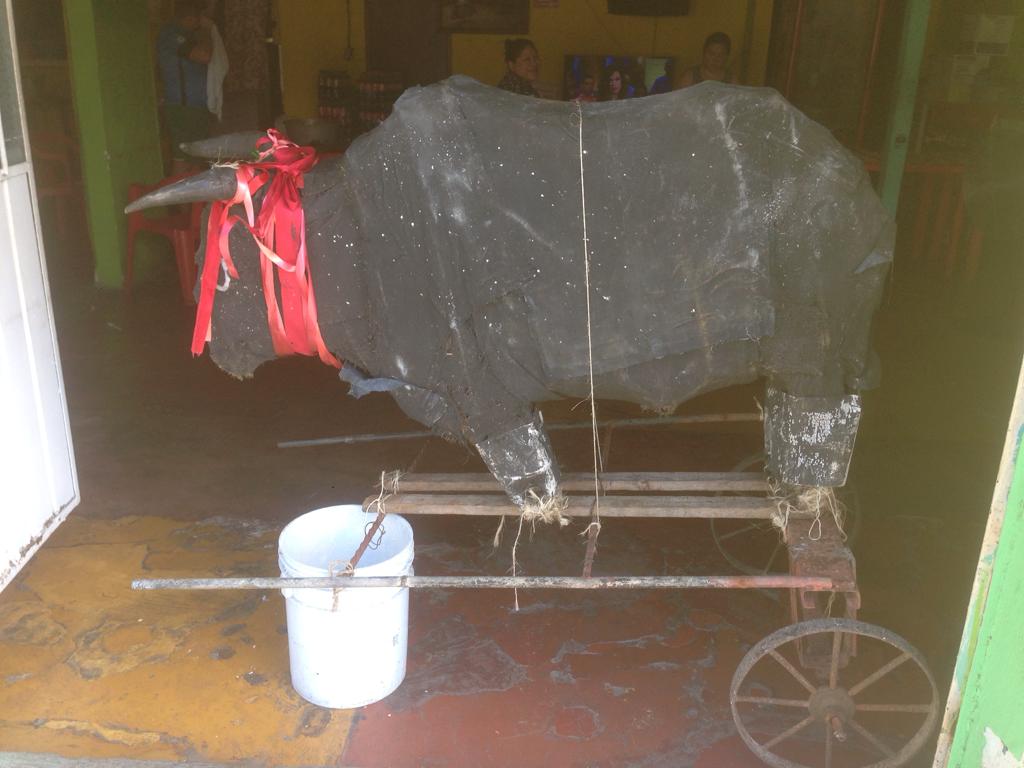 WhatsApp Image 2019 02 02 at 12.43.31 PM