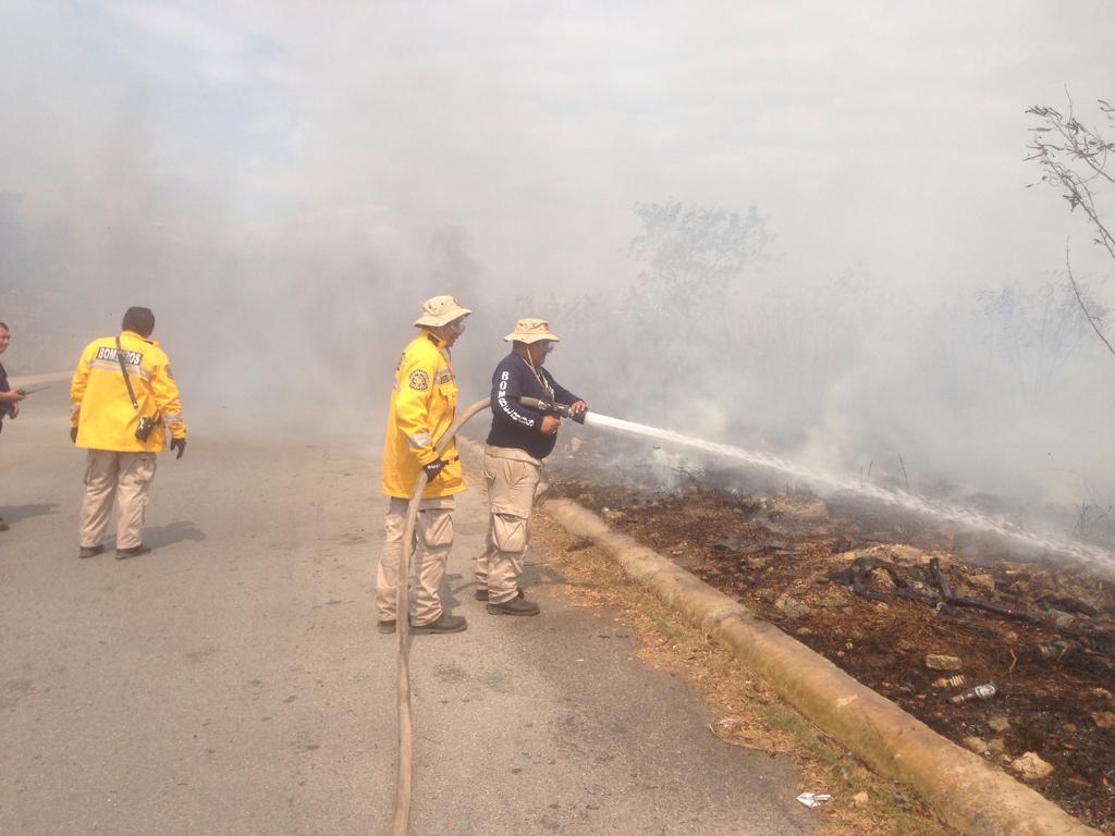 WhatsApp Image 2019 02 11 at 12.54.51 PM