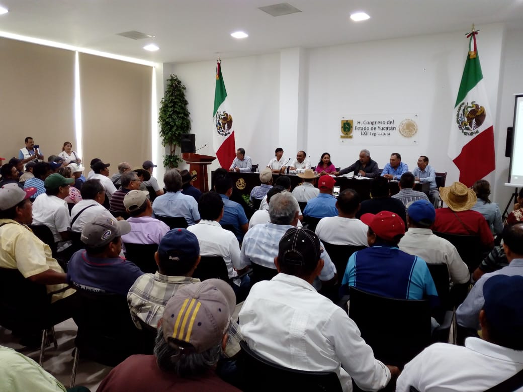 WhatsApp Image 2019 02 12 at 1.23.36 PM