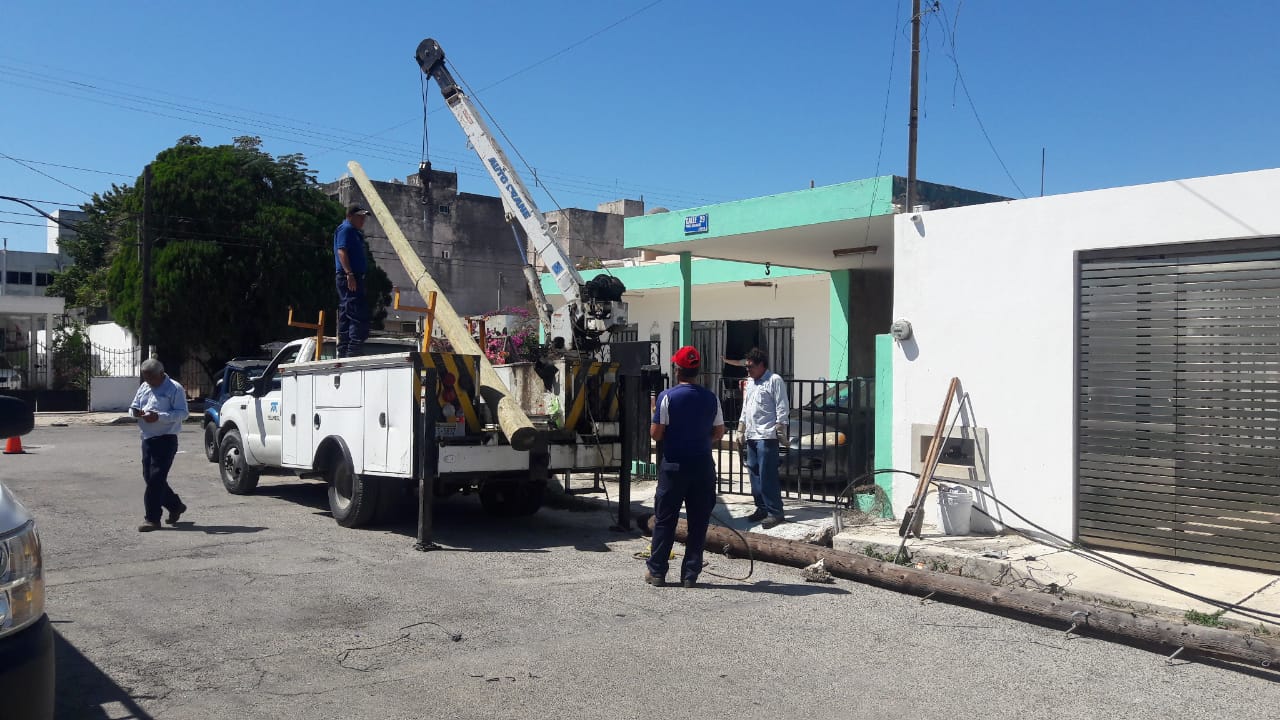 WhatsApp Image 2019 02 16 at 1.15.43 PM