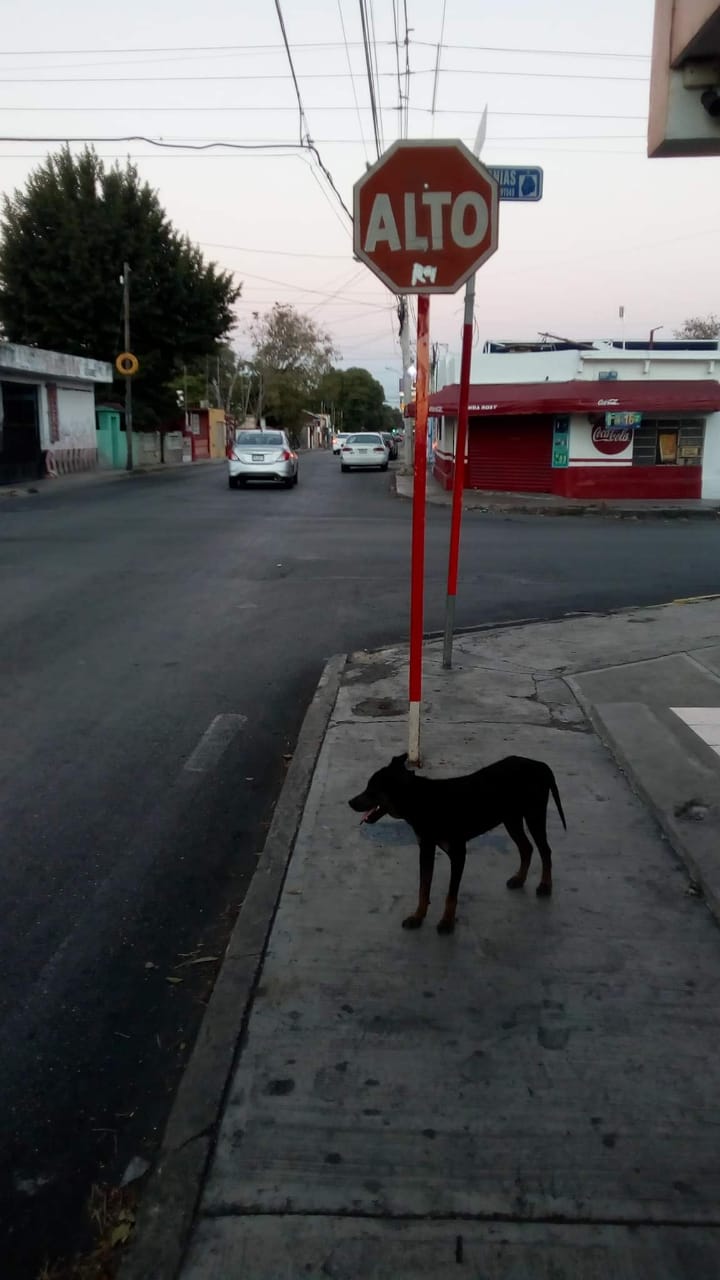 WhatsApp Image 2019 02 20 at 8.47.02 AM