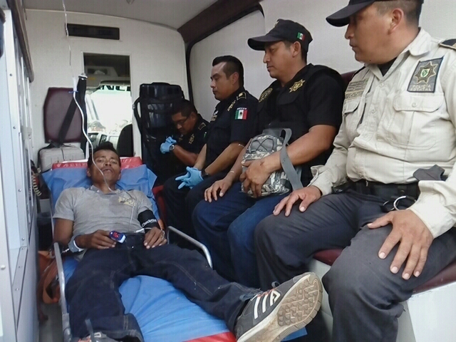 WhatsApp Image 2019 02 22 at 2.36.48 PM