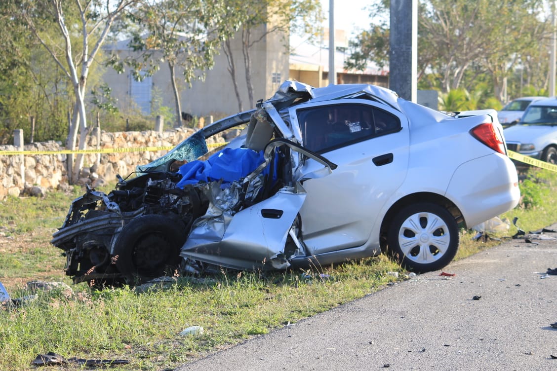 WhatsApp Image 2019 02 23 at 10.29.49 AM