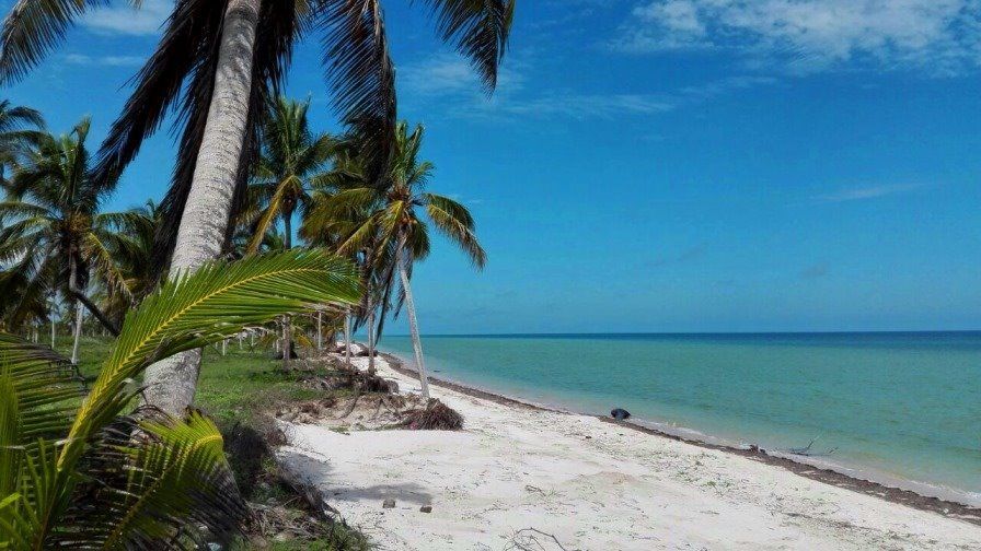 Terreno vacacional en venta en pueblo san crisanto sinanche