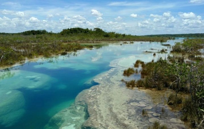 Whatsapp image 2019 02 02 at 5 06 23 pm.jpeg