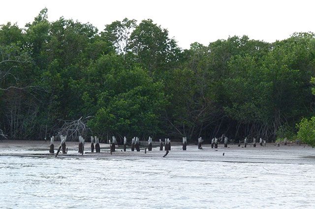 Wilma daño ambiental 640x424