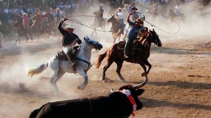 ACFD3293 E981 495A BCDB C9AAB126B38E