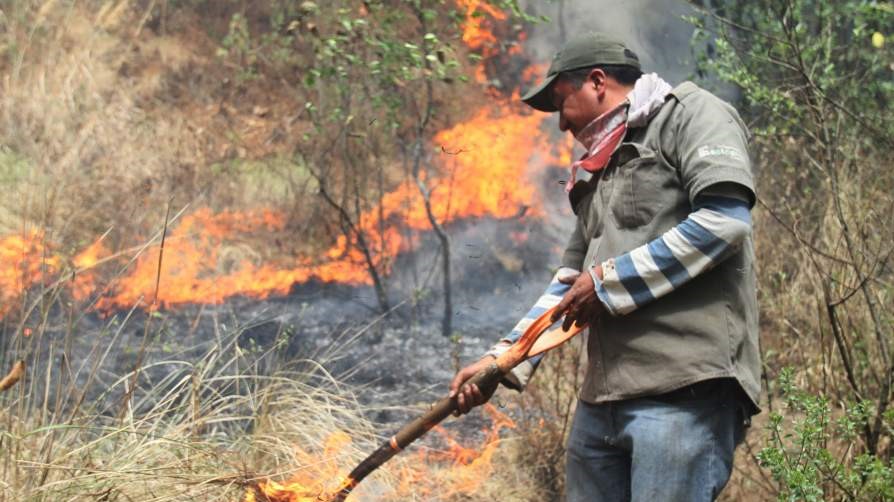 Incendios Yucatán (2)