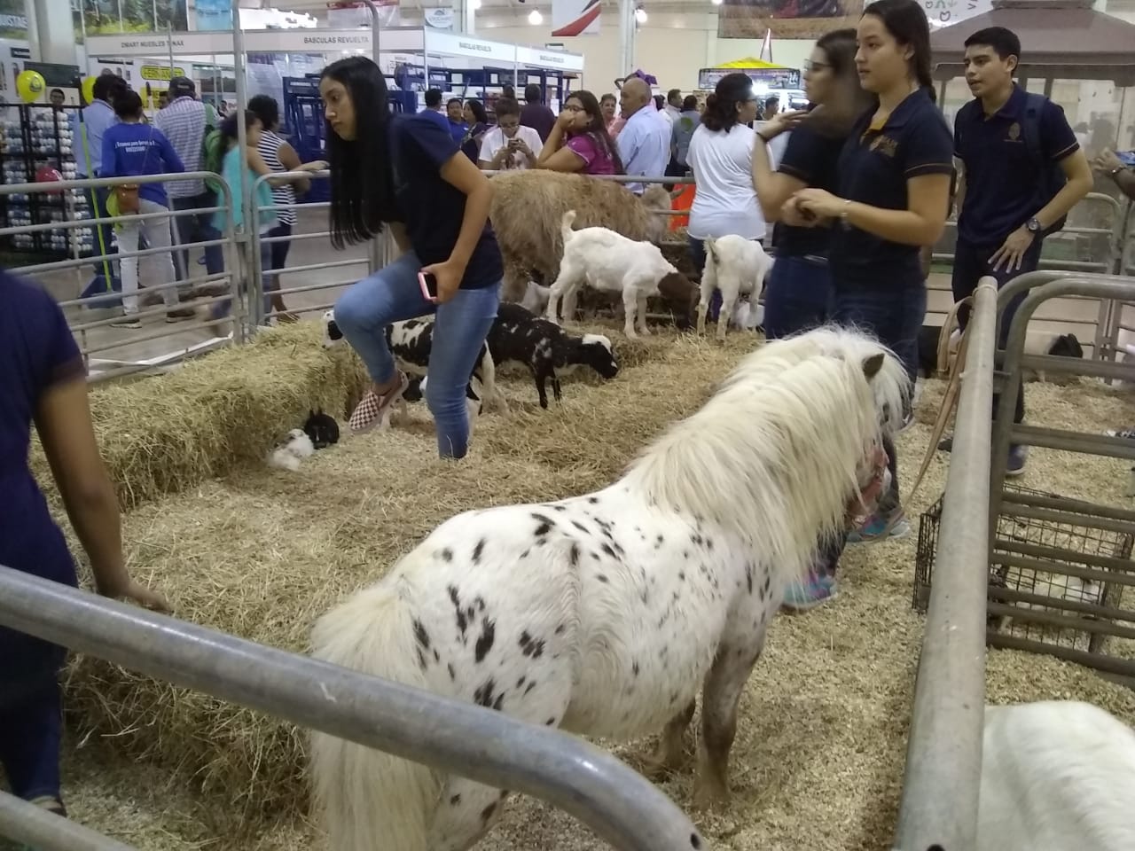 WhatsApp Image 2019 03 01 at 11.54.59 AM (1)