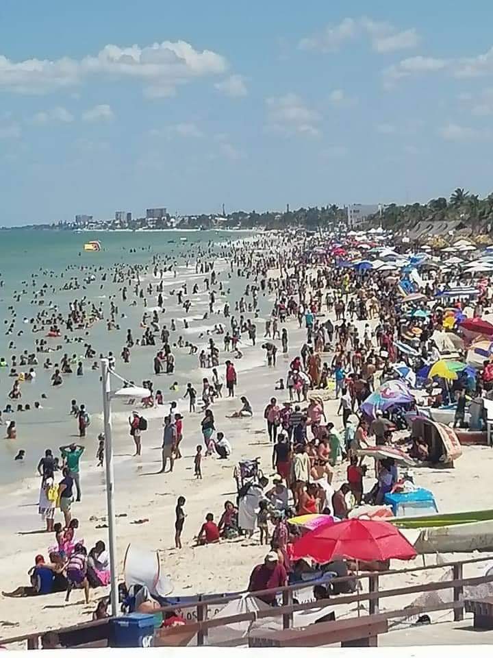 WhatsApp Image 2019 03 05 at 8.00.51 PM