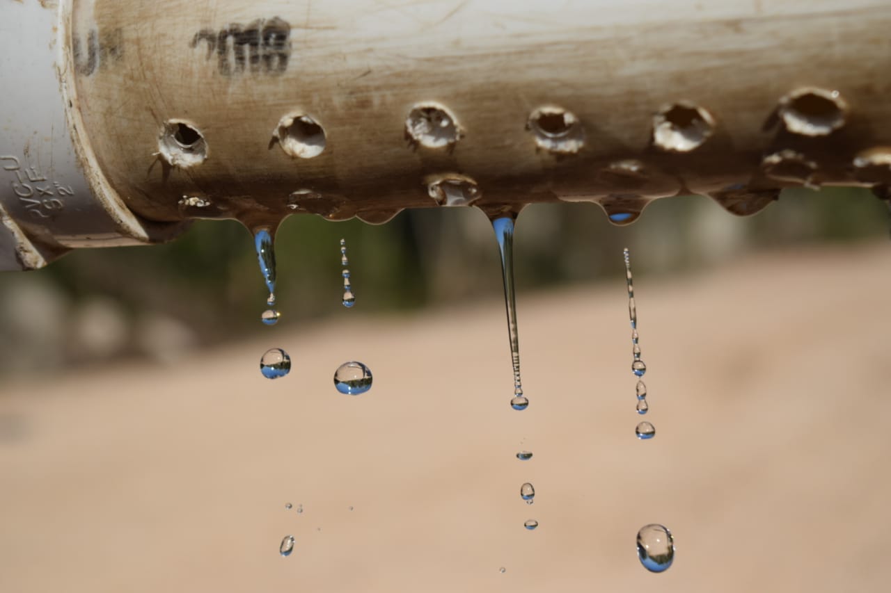 WhatsApp Image 2019 03 06 at 2.05.19 PM