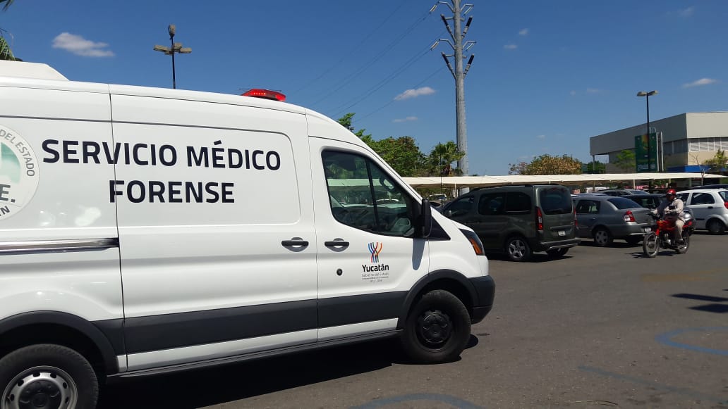 WhatsApp Image 2019 03 08 at 2.31.49 PM (1)