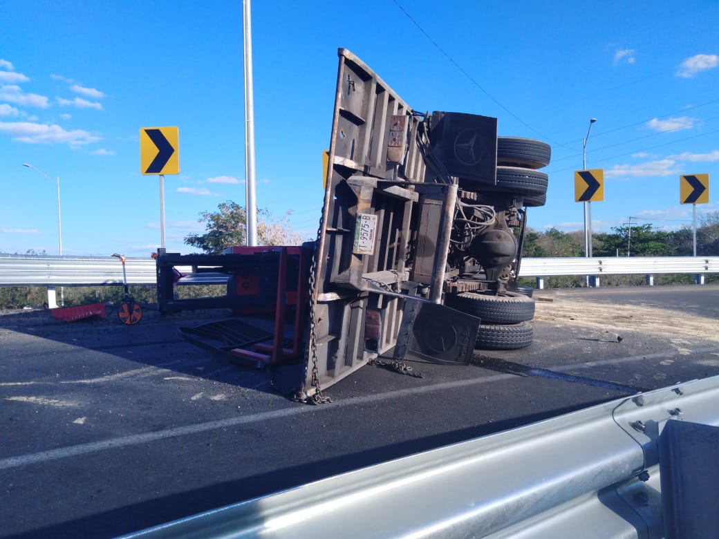 WhatsApp Image 2019 03 11 at 7.46.04 PM (1)