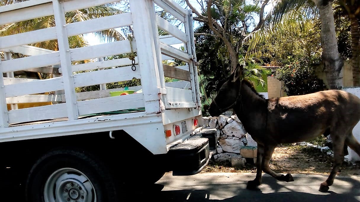 WhatsApp Image 2019 03 13 at 11.08.42 AM