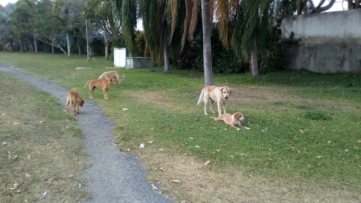 WhatsApp Image 2019 03 18 at 10.18.39 AM