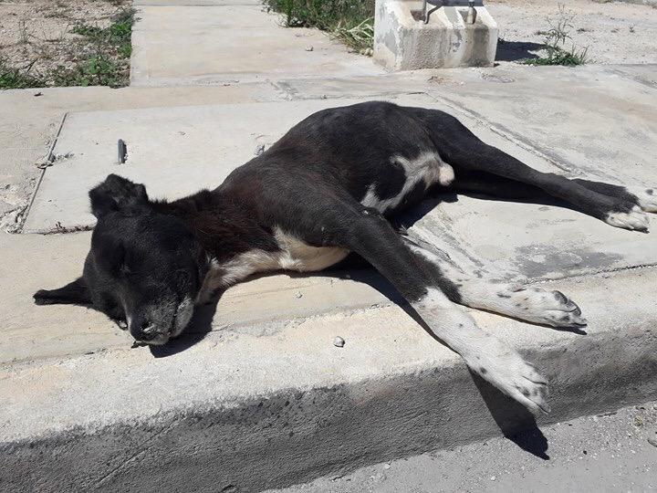 WhatsApp Image 2019 03 20 at 5.35.49 PM