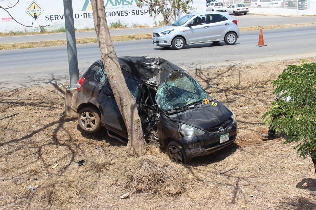 WhatsApp Image 2019 03 28 at 12.05.22 PM