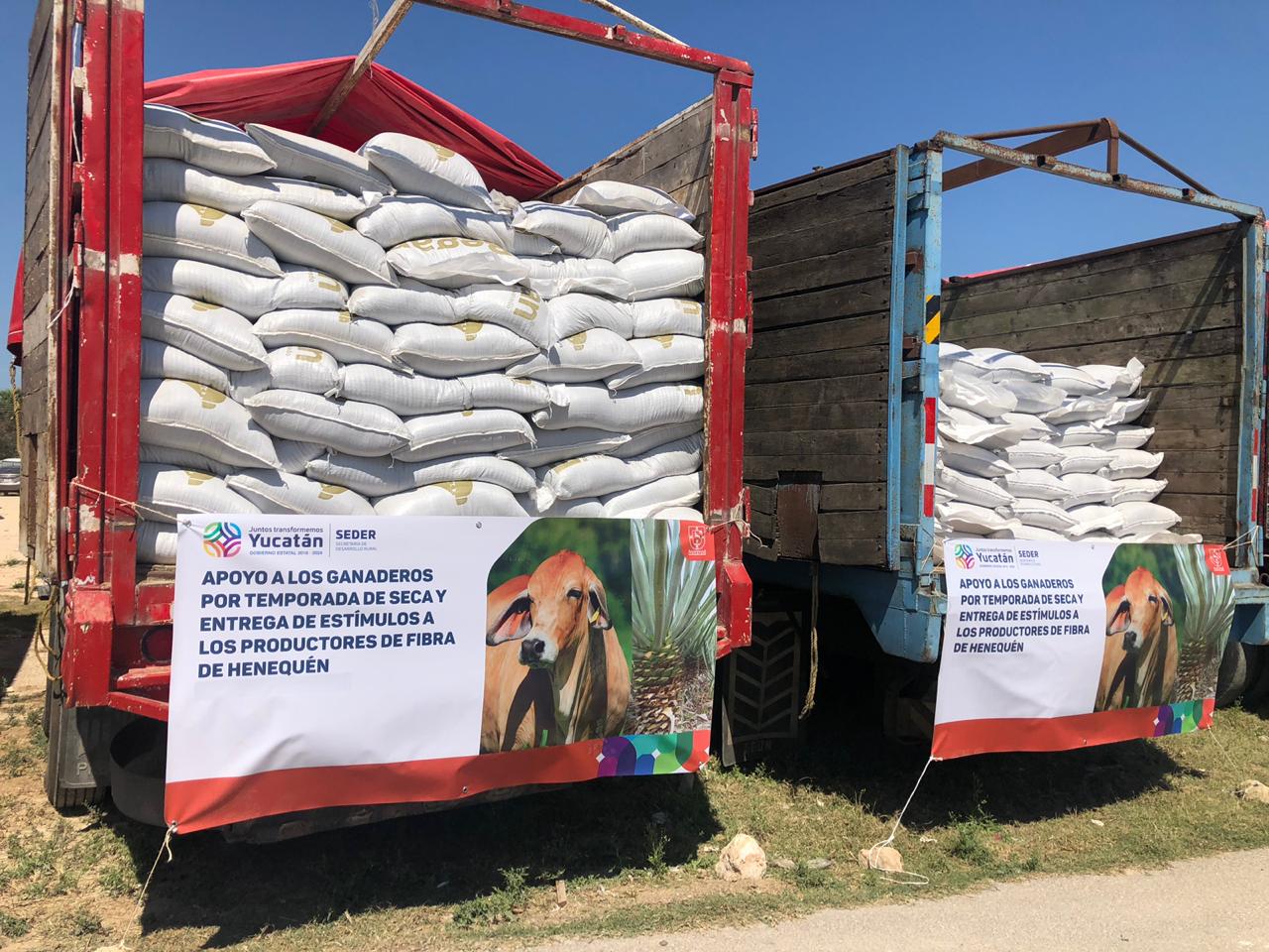 WhatsApp Image 2019 03 30 at 4.08.50 PM