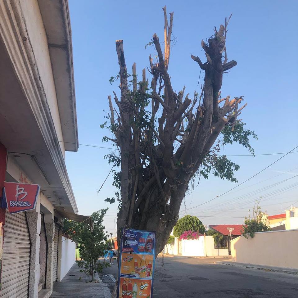 57503700 10156657072067098 896509968465788928 n