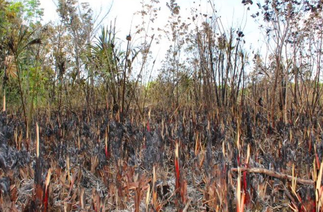 Captura de pantalla 2019 04 20 a la(s) 01.38.00