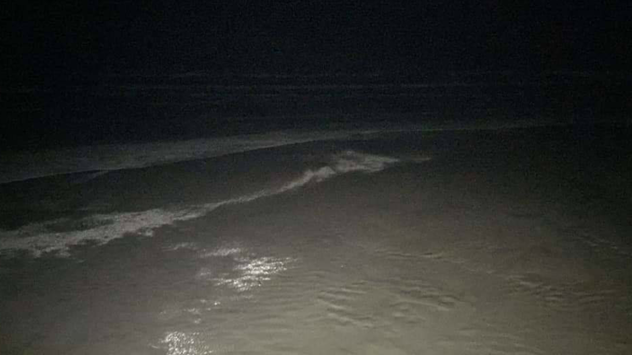 Screenshot 2019 04 23 22 42 31.png