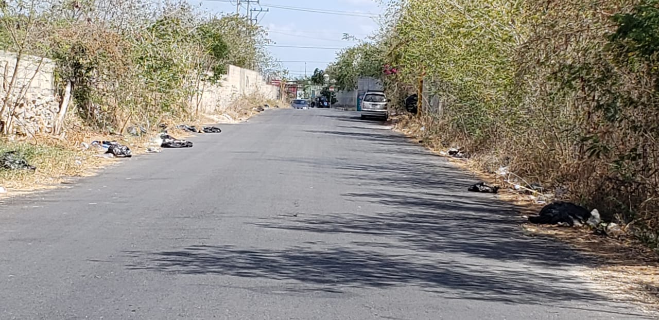 WhatsApp Image 2019 04 09 at 5.57.59 PM