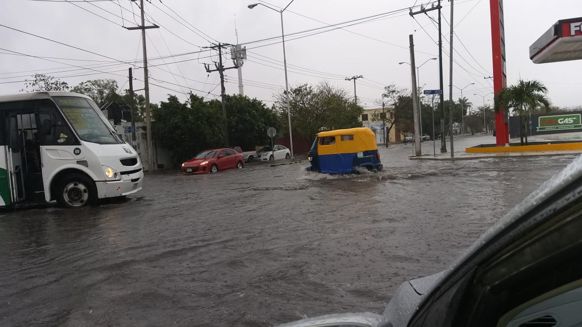 WhatsApp Image 2019 04 09 at 8.40.36 AM