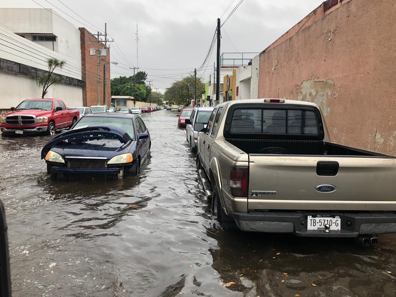 WhatsApp Image 2019 04 09 at 9.30.46 AM