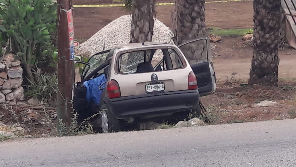 WhatsApp Image 2019 04 15 at 9.04.58 AM