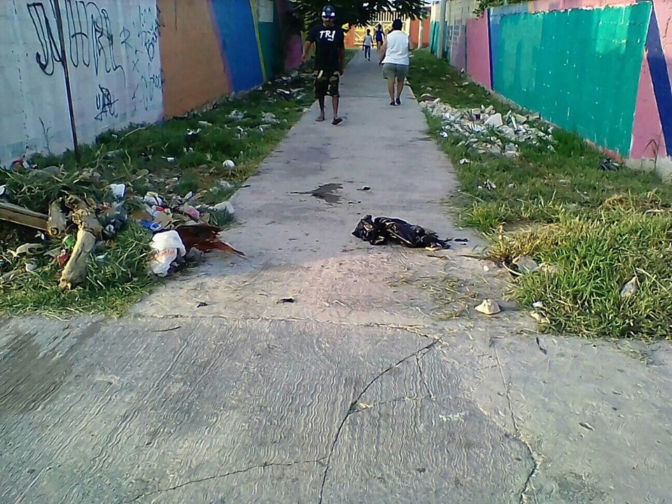 60293125 2323449167981449 8153970453401042944 n